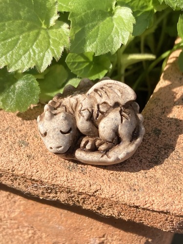 New tiny sleeping dragon - new,