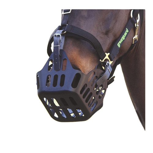 Shires greenguard muzzle - muzzle,