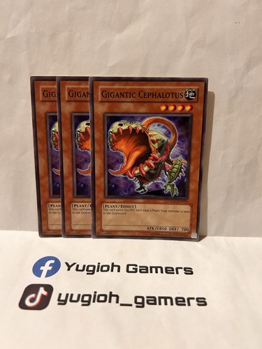 Gigantic cephalotus - yu-gi-oh,