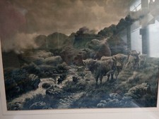 Vtg Print Highland Cattle Cows