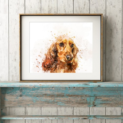 Cocker spaniel dog - cocker,