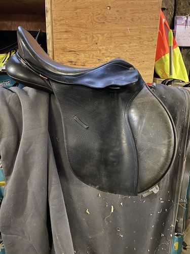 Bates saddle - bates,