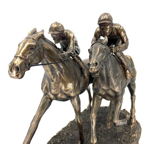 Two jockeys horse racing - horse,