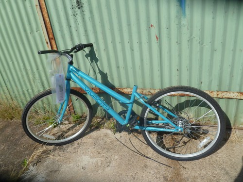 Pazzaz vivacity inch - pazzaz, wheel
