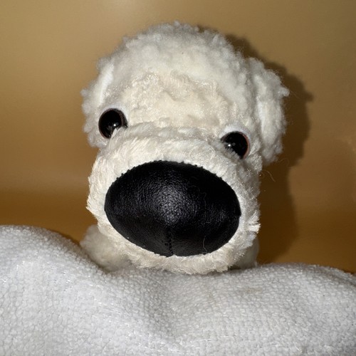 Vintage bichon frise puppy - frise, the