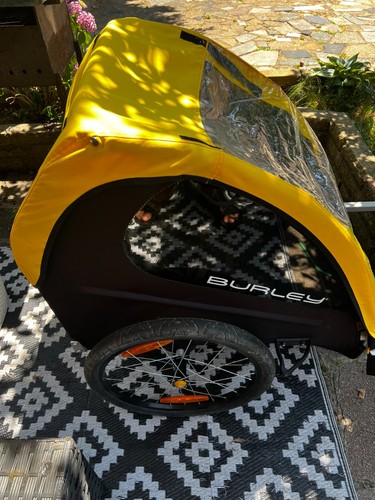 Burley bee double child - burley,