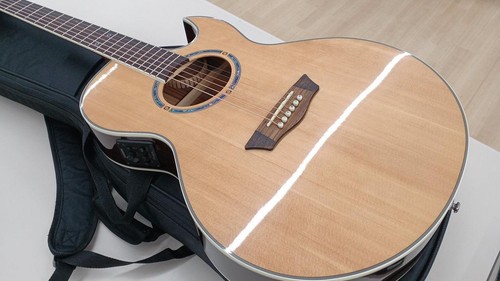 Washburn ea20snb - washburn, ea20snb-0