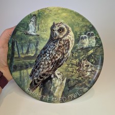 Danbury Mint Coalport Short Eared Owl Plate Melvyn Buckley Noble Owls 1980s