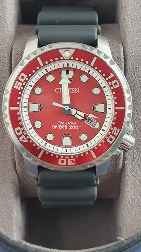 Citizen promaster ecodrive - promaster,