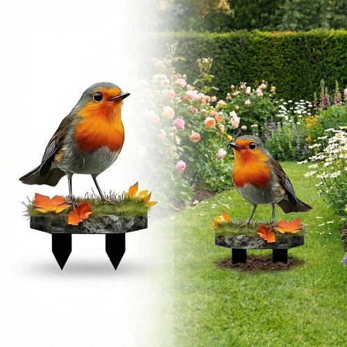 Vivid robin bird - vivid, figure