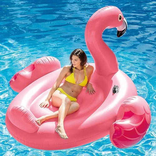 Intex giant inflatable - giant,
