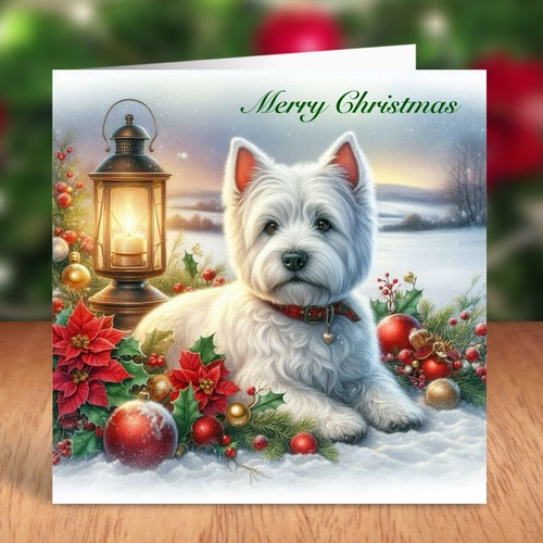 West highland white terrier - white,
