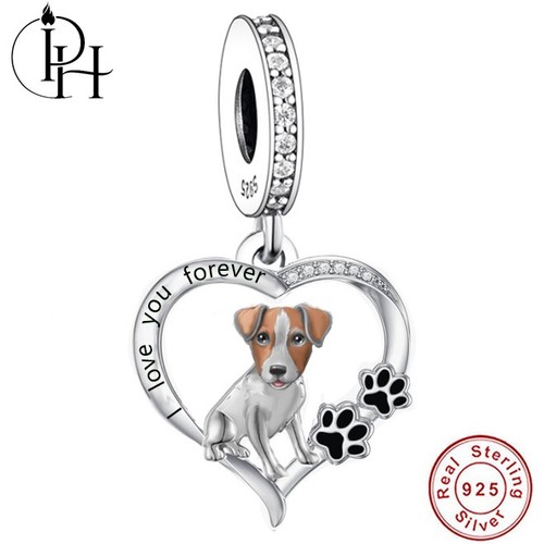 Jack russell terrier - jack,