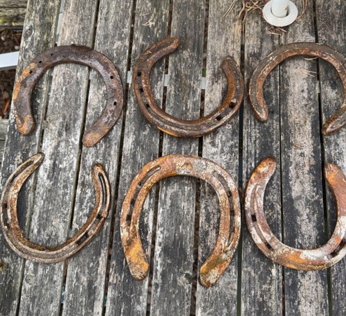 Used lucky horseshoes - 6,
