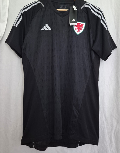 Wales goalkeeper football - wales,