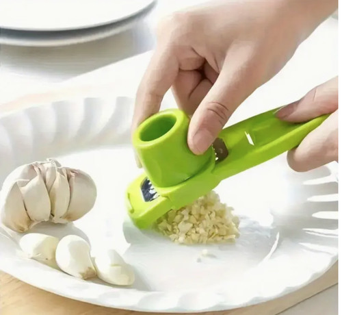Manual garlic press - garlic, &