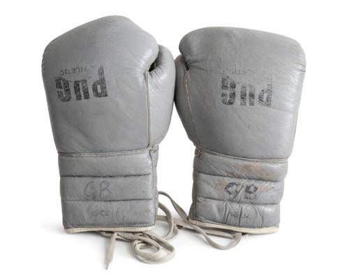 Vintage pug athletic boxing - pug,