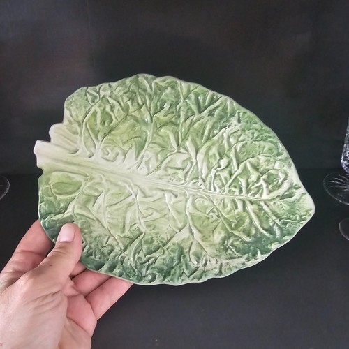 Cabbage leaf single - leaf,