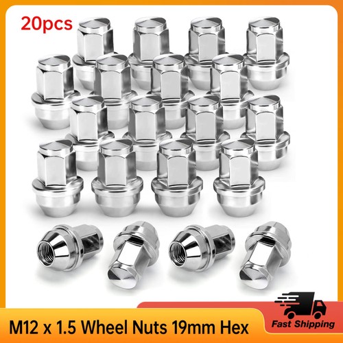 20x 19mm m12 - 20x, solid