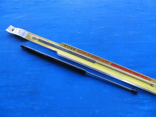 Trunk strut dasir - trunk,