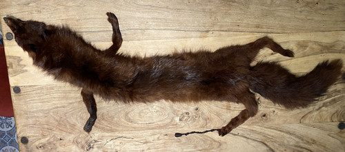 Vintage antique real - fox, fur