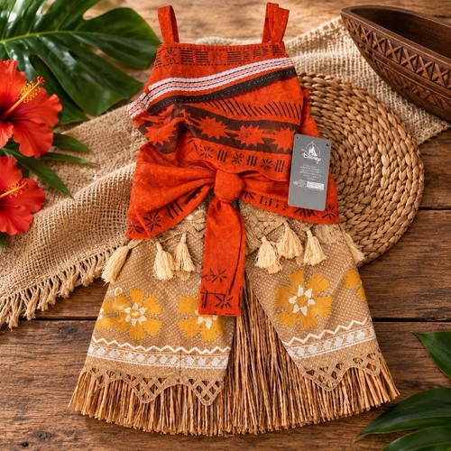 Disney moana costume - disney,