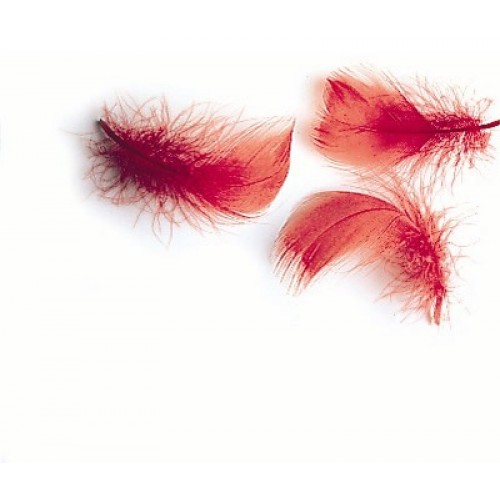 Indian crow feathers for - crow, fly