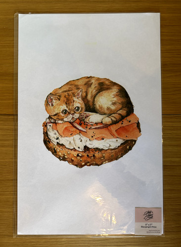 Bagel cat stay home - stay,