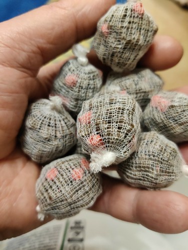Carp fishing bait balls - fishing,