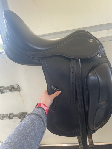 17inch prestige dressage - 17inch,