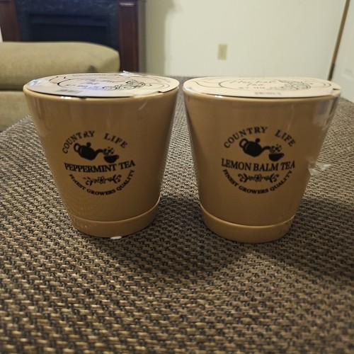 Ceramic herbal tea cups - 2~ceramic,