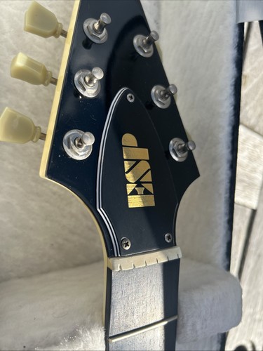 Flying truss rod cover - cover, with