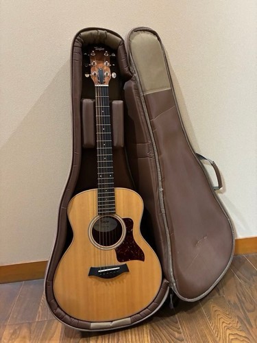 Taylor mini rosewood - taylor, gs