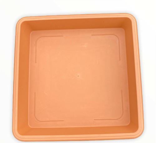 Square plant pot - plant, saucer