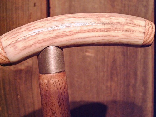 Walking cane deer - walking,