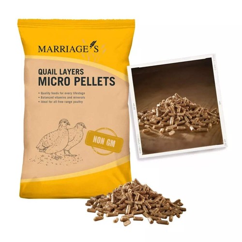 Marriage layers quail - marriage’s,