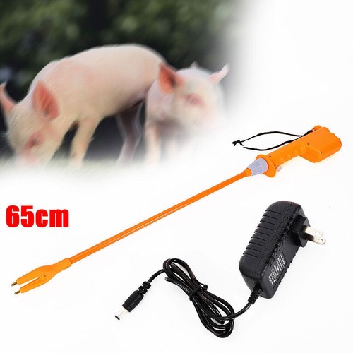 Professional electric cattle - professional,