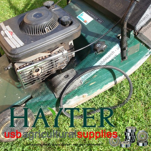 Hayter harrier drive belt - hayter,