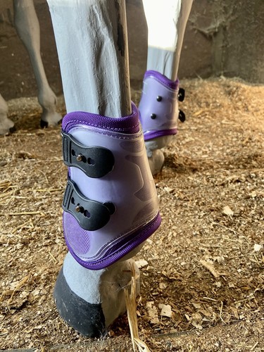 Fetlock boots full size - boots,