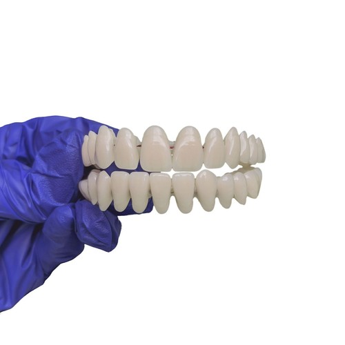 False teeth natural colour - teeth,