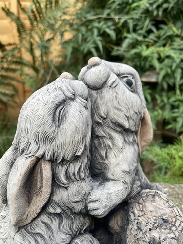 Rabbit couple garden - couple,