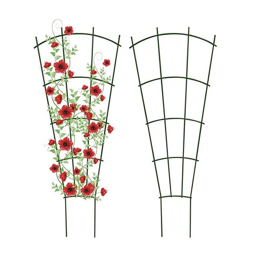 2pcs climbing plants - climbing,