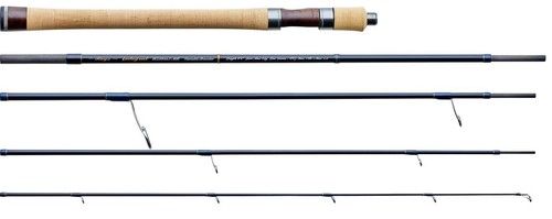 Tenryu rayz integral - tenryu,