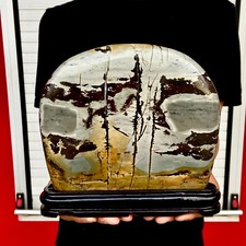 3.7LB Beautiful Natural Chinese Dendritic Limestone Picture Stone Guohua - Rare