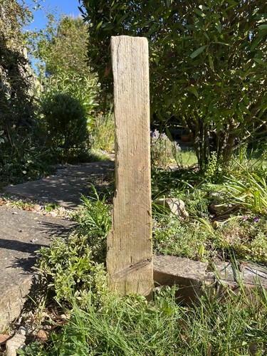 63cm long driftwood flat piece - driftwood,
