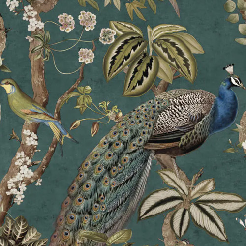 Aqua blue peacock - aqua,
