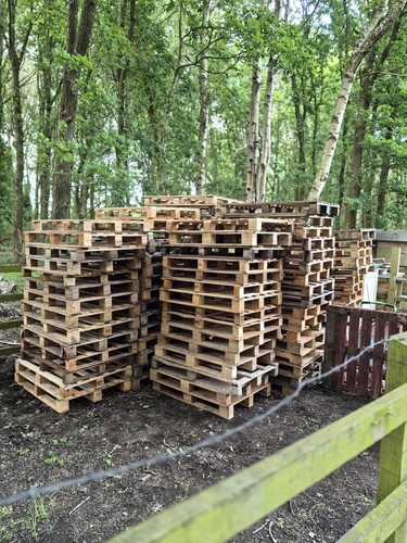 Used wooden pallets - used,