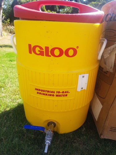Igloo gal drink - 10,