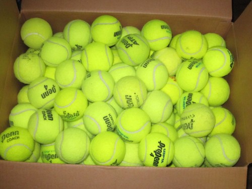 Used tennis balls - used,