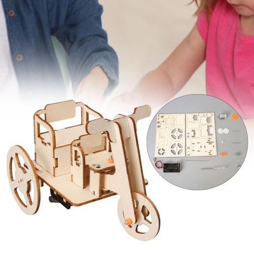 Toy wood puzzles self - self, assembly